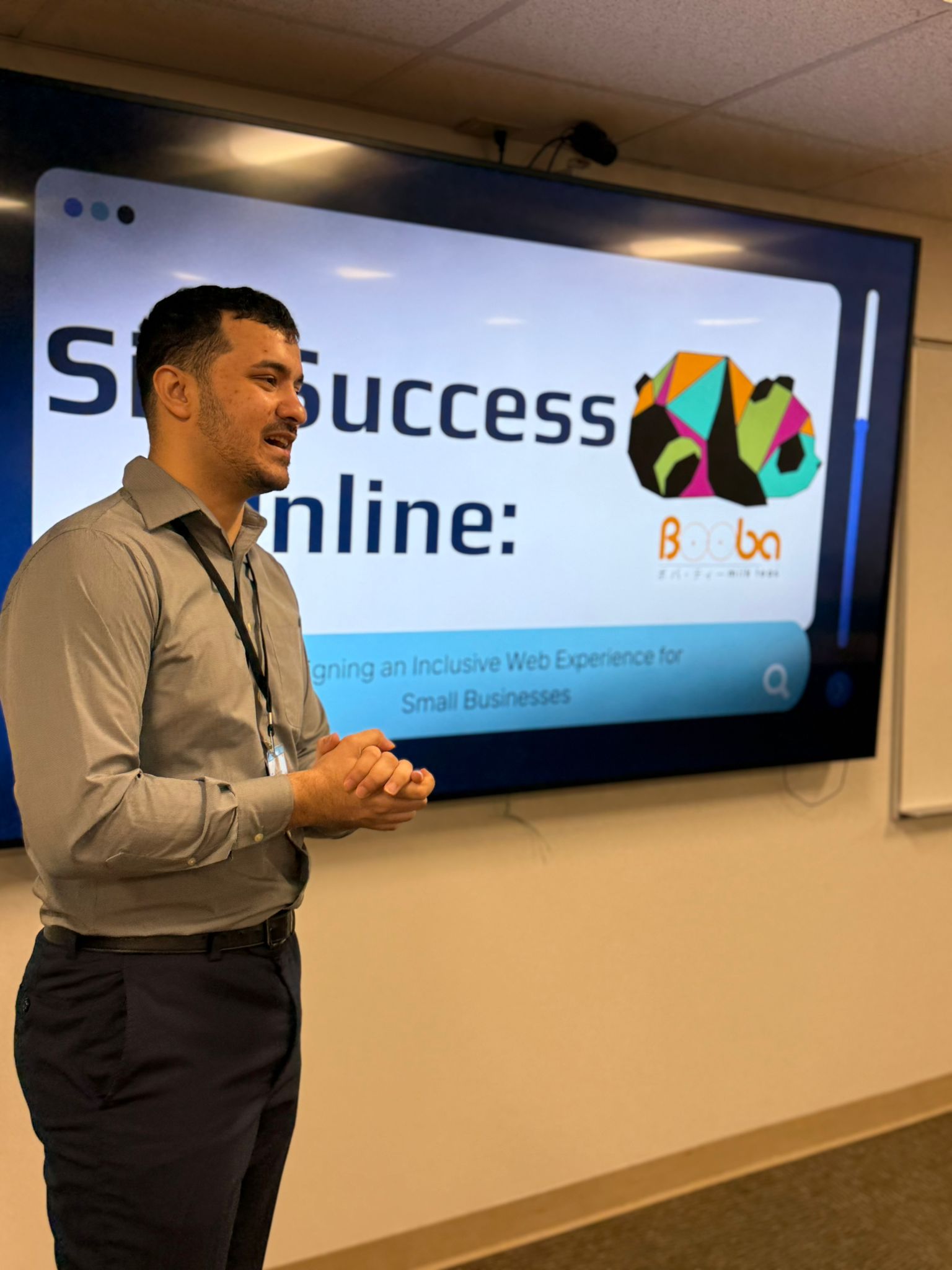 Describing the accessibility website project