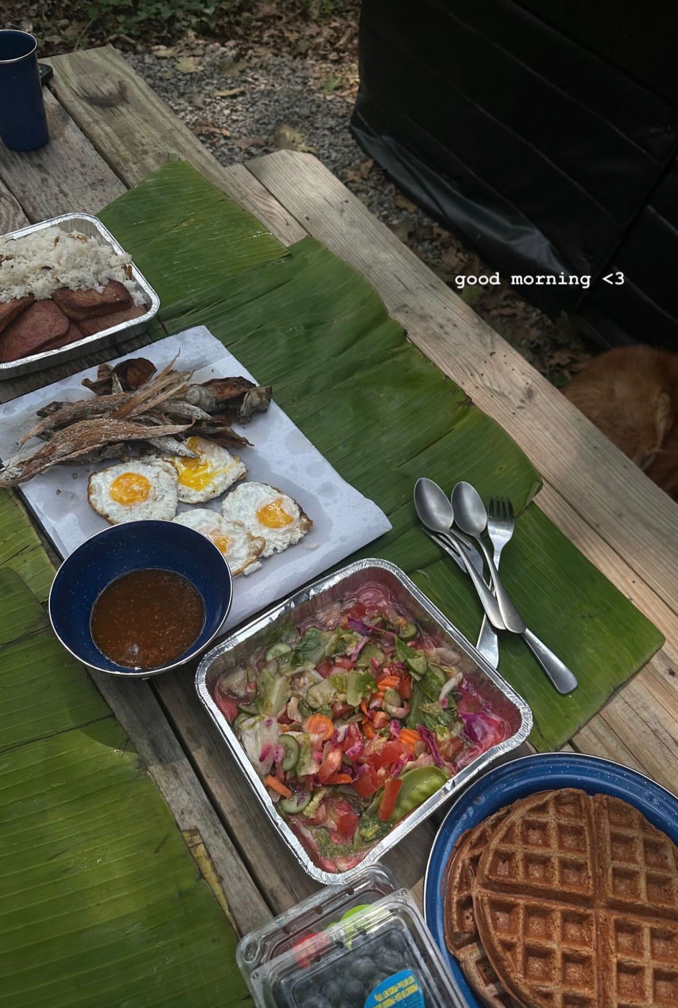 Philippine-style dinner prepared outdoors