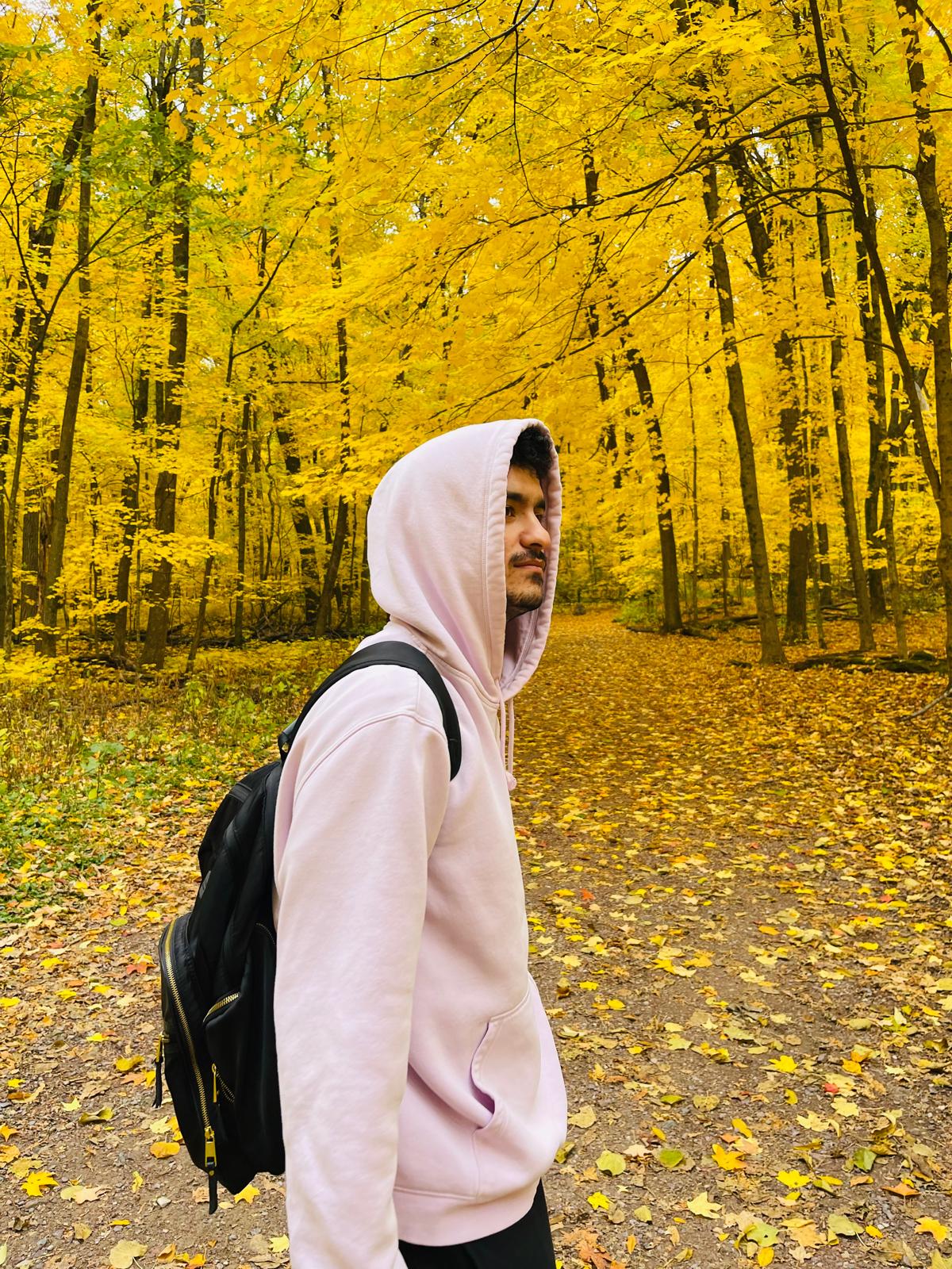 Golden trees during fall at Devils Lake